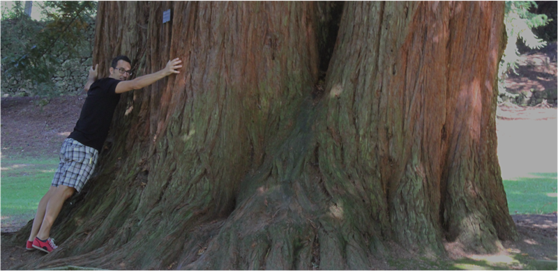 sequoia-r