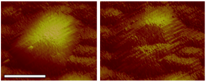 3-nanoindentation
